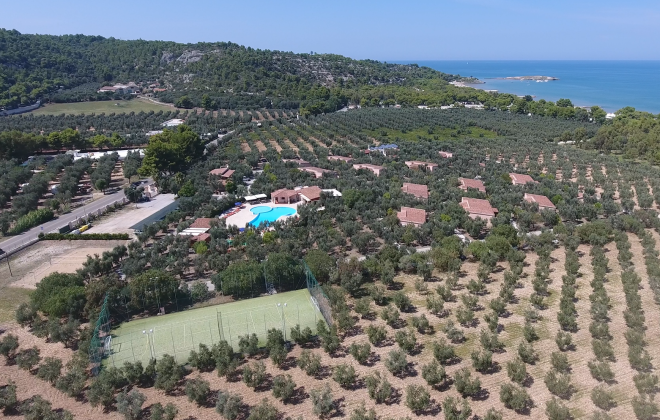 Vista aerea di uliveti, piscina e mare in lontananza, atmosfera serena e rilassante.