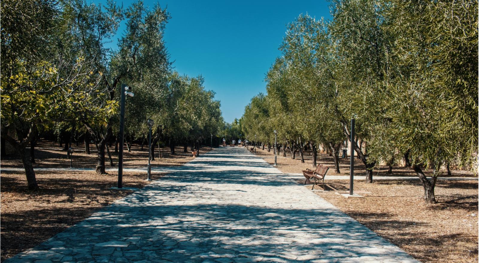 villaggiosantamaria it home 009