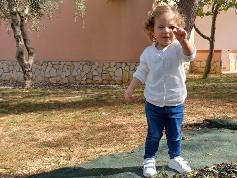 villaggiosantamaria it oliveto 010